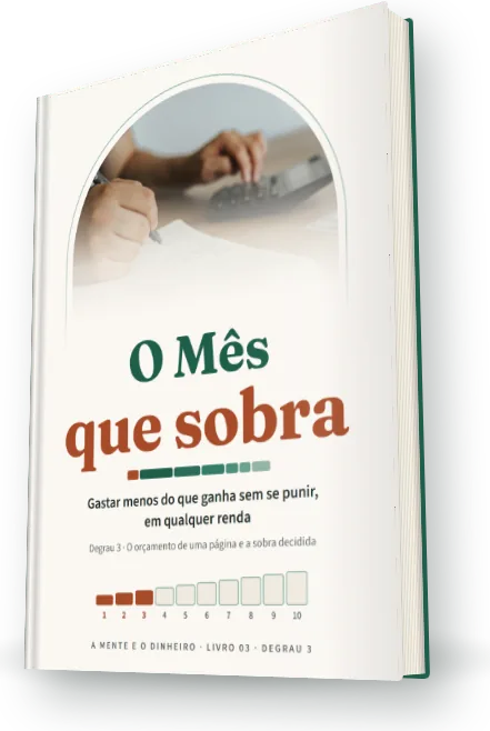 Capa do livro O Mês Que Sobra em 3D